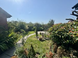 Rear Garden- click for photo gallery